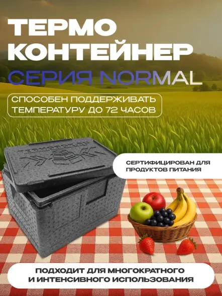Термоконтейнер TERMOBOX Бытовой Normal, 18 л, 400х300х270 мм, 40кг/м3