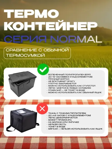 Термоконтейнер TERMOBOX Бытовой Normal, 18 л, 400х300х270 мм, 40кг/м3