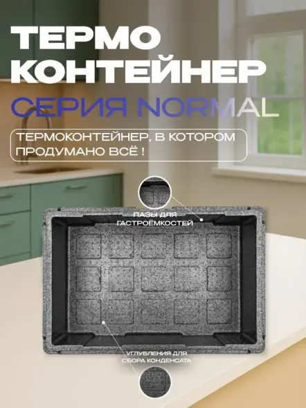 Термоконтейнер TERMOBOX Бытовой Normal, 32 л, 600х400х240 мм, 40кг/м3