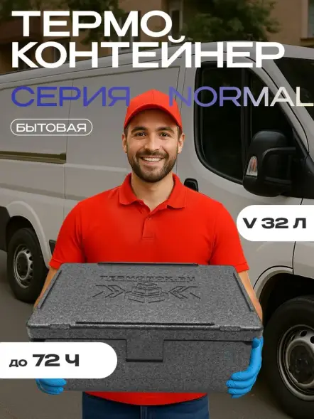 Термоконтейнер TERMOBOX Бытовой Normal, 32 л, 600х400х240 мм, 40кг/м3