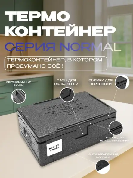 Термоконтейнер TERMOBOX Бытовой Normal, 32 л, 600х400х240 мм, 40кг/м3