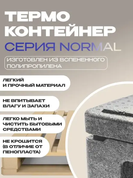 Термоконтейнер TERMOBOX Бытовой Normal, 84 л, 800х600х320 мм, 40кг/м3