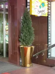 Вазон конусный Коника 450х580 мм