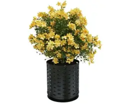 Цветочница «Галактика»