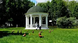 Ротонда тип 4, 8 колонн, диаметр 5000 мм Балюстрада